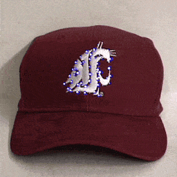 Washington State Cougars Flashing Fiber Optic Cap-0