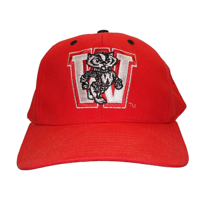 Wisconsin Badgers Flashing Fiber Optic Cap 2