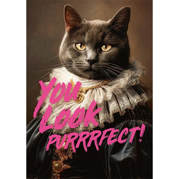 You Look Purrrfect! 1000 Piece Jigsaw Puzzle Piatnik 2