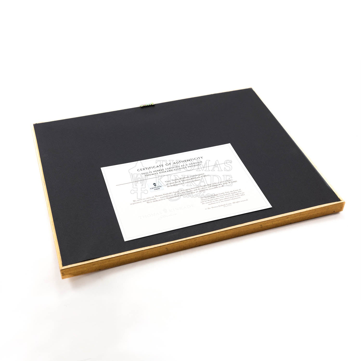 Aladdin Disney Thomas Kinkade Framed Art Print 8