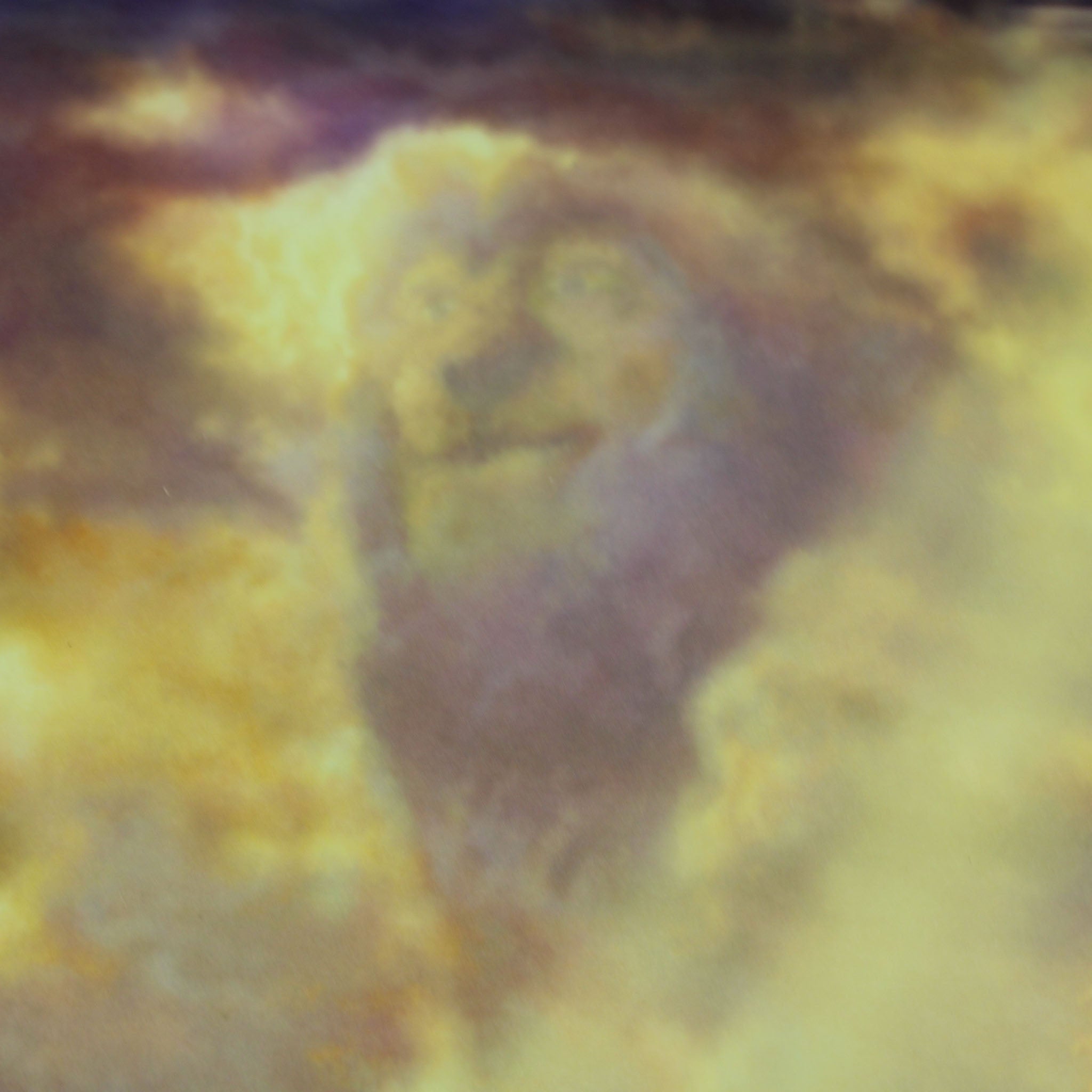 Disney: The Lion King - Thomas Kinkade Framed Art Print 7