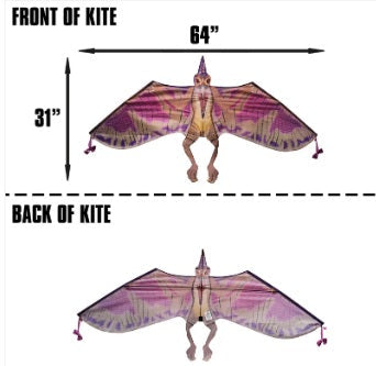 Kite - 65 Inches Wide Nylon Pterodactyl Kite 2