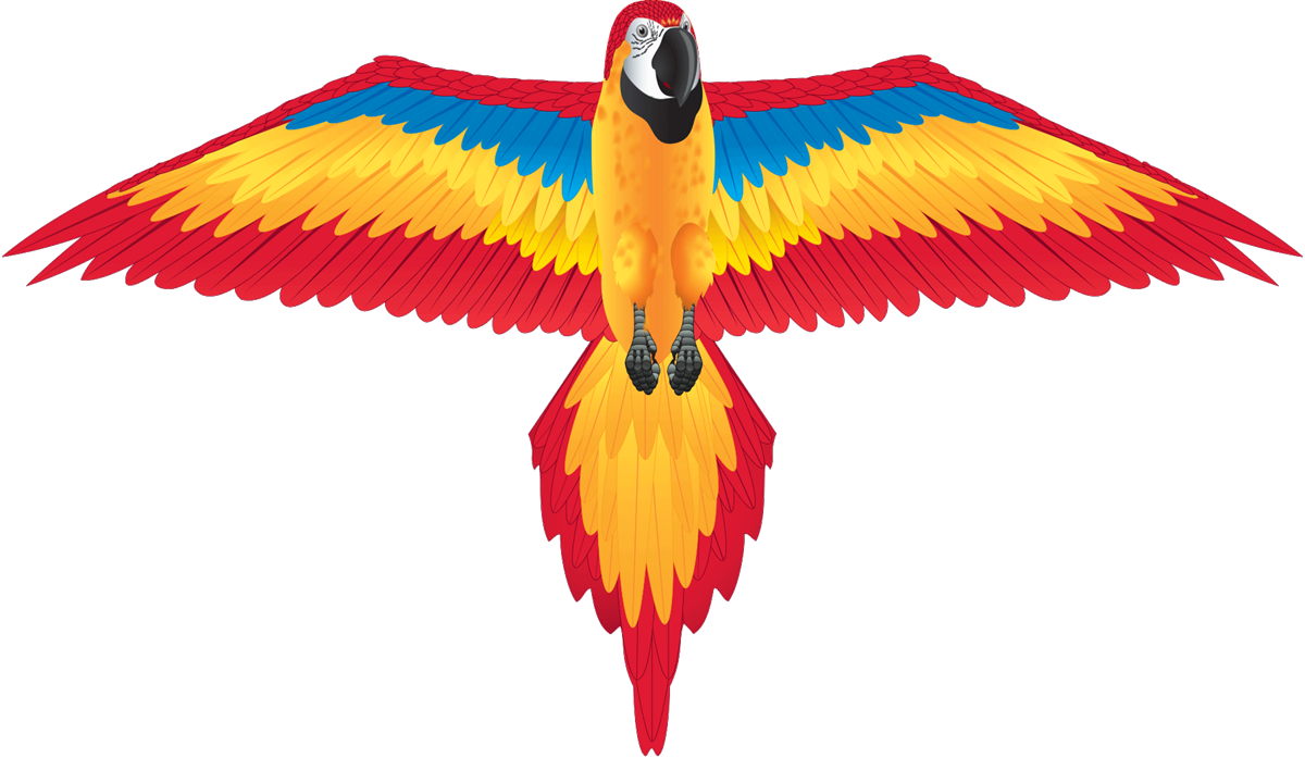 Kite - FantasyFliers Red Macaw Nylon Kite, 70 Inches Wide