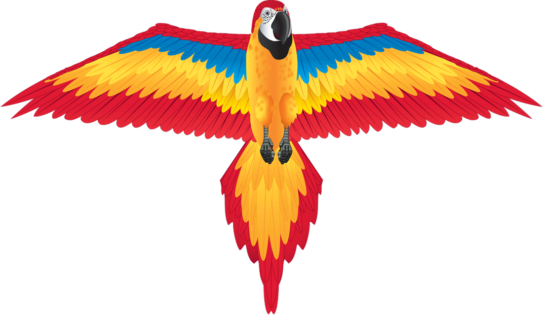 Kite - FantasyFliers Red Macaw Nylon Kite, 70 Inches Wide
