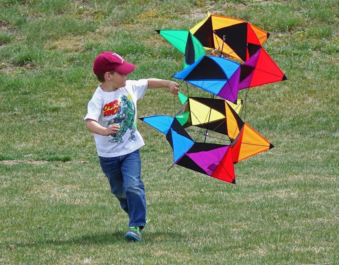 Kite - Rotobox cellular kite 2