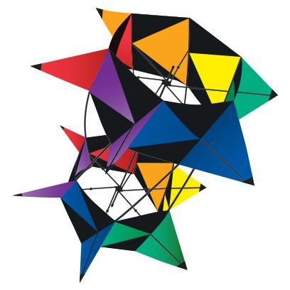 Kite - 33.5 inch 3-D Spinbox kite