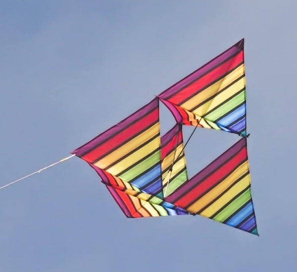 Kite - WindNSun Supersize 3-D Tetra Ripstop Nylon Cellular Kite, 51 Inches Wide 2