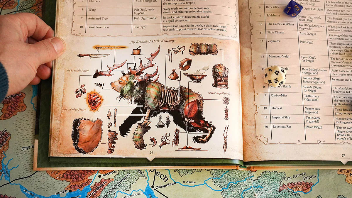 Wondrous Expeditions - Forests (Hardcover) 4