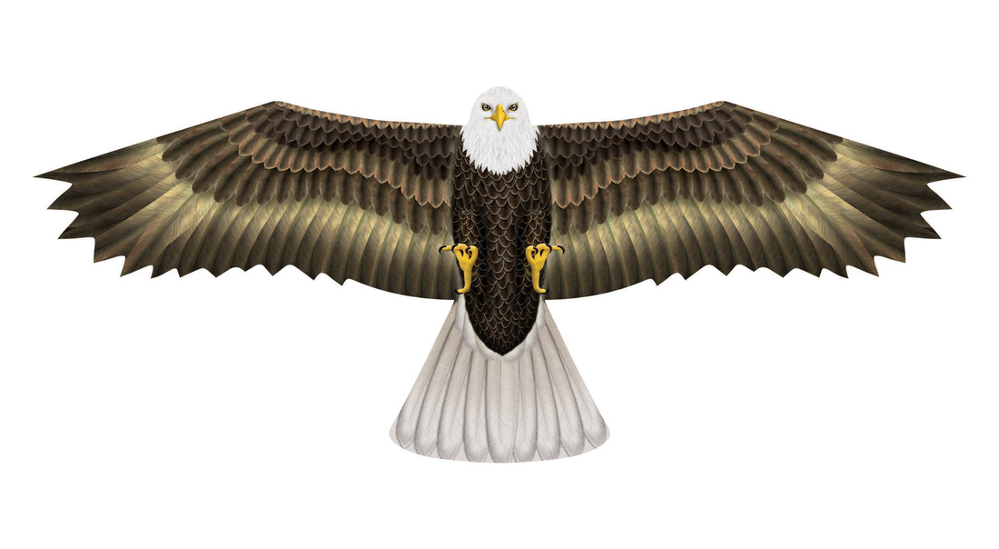 Kites - 70 Inch Wingspan Nylon Eagle Kite