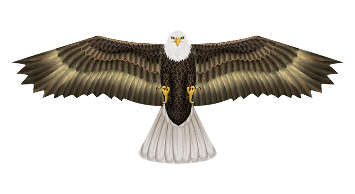 Kites - 70 Inch Wingspan Nylon Eagle Kite