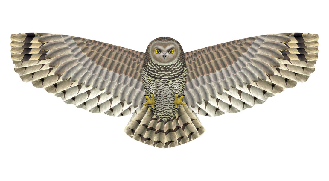 Kites - 67 Inch Winspan Nylon Owl Kite