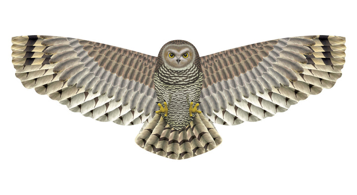 Kites - 67 Inch Winspan Nylon Owl Kite