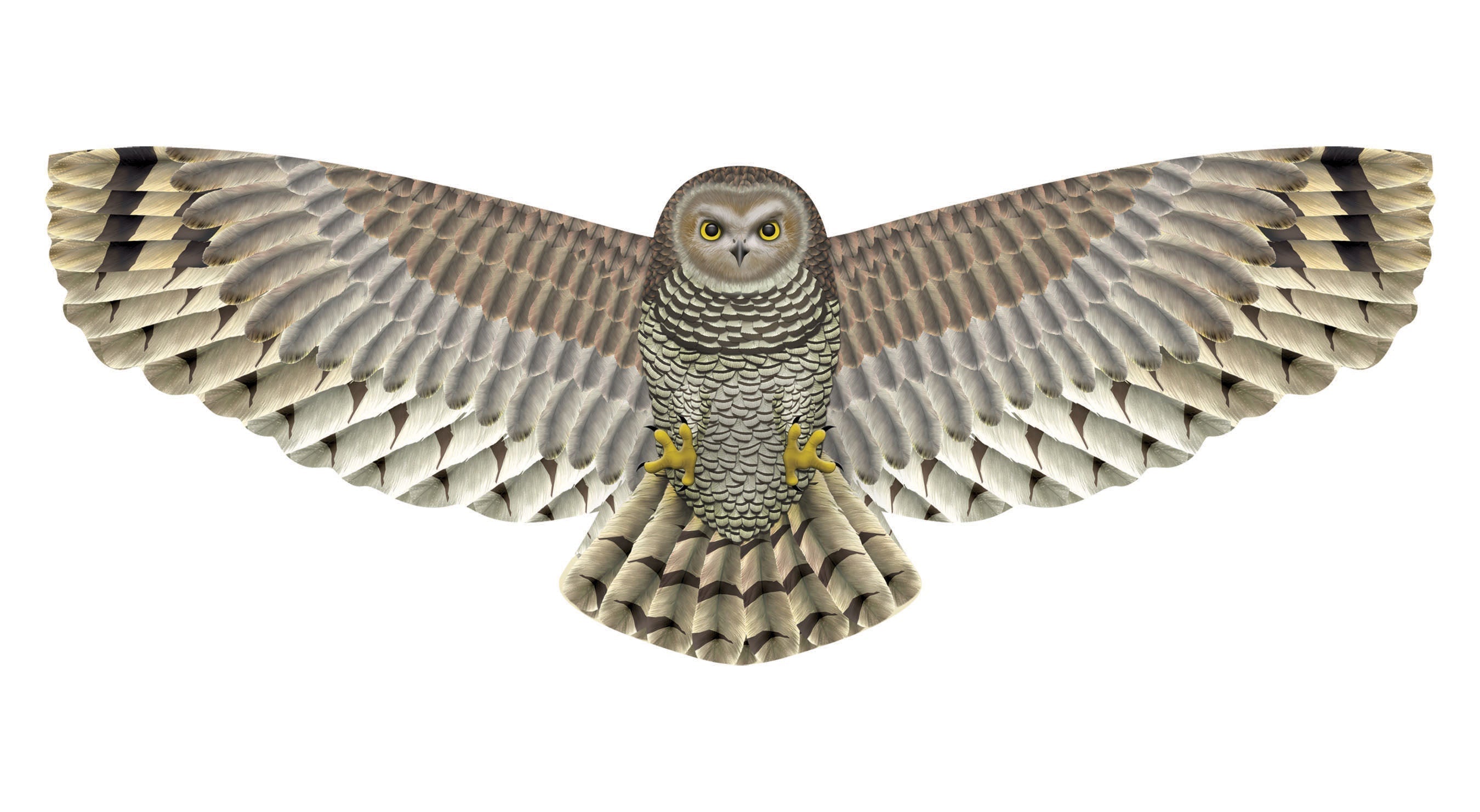 Kite - 70 Inch Winspan Nylon Hawk Kite 2