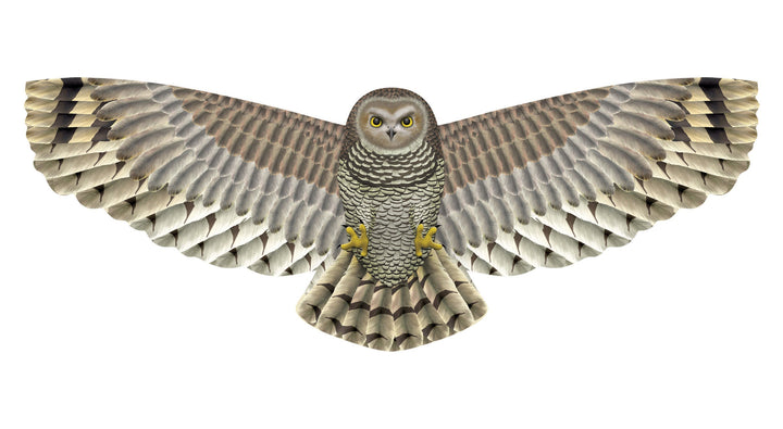 Kite - 70 Inch Winspan Nylon Hawk Kite 2